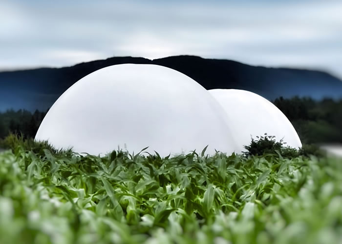 Klima, Nahrung, Natur. Mitgliederausstellung | 16.12.2023 – 28.01.2024