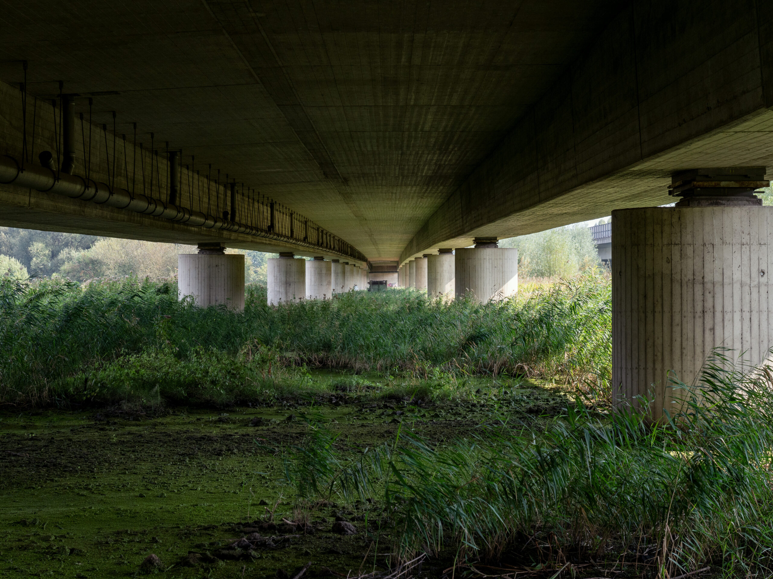 Kai Löffelbein, A2, I, Schwülper, from the series “Riverside Landscapes”, 2024 © Kai Löffelbein Kai Löffelbein, A2, I, Schwülper, from the series “Riverside Landscapes”, 2024 © Kai Löffelbein