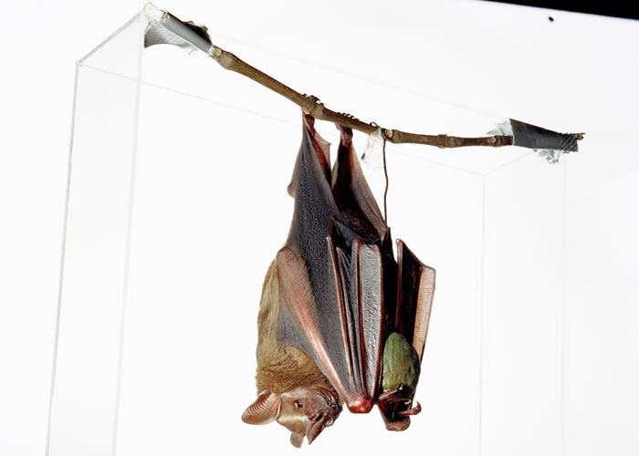 Dialoge der Sammlung | 28.09. – 01.12.2024