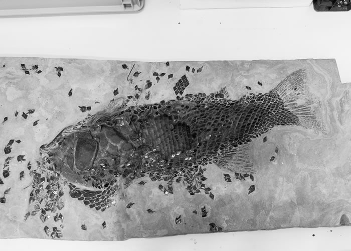 Kulturlandschaften Wasser | 22.02. – 20.04.2025