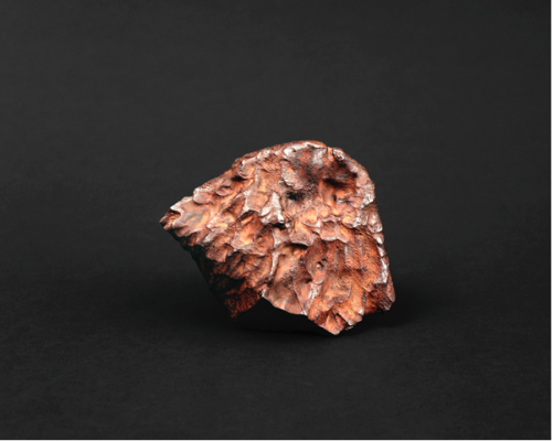 Regine Peterson, Bruno, Aus der Serie Find a Fallen Star, 2016 Regine Peterson, Bruno, Aus der Serie Find a Fallen Star, 2016
