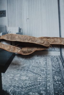 Heidi Specker, SAAT SEED, 2019, © Heidi Specker und VG Bild-Kunst, Bonn 2026 Heidi Specker, SAAT SEED, 2019, © Heidi Specker und VG Bild-Kunst, Bonn 2026