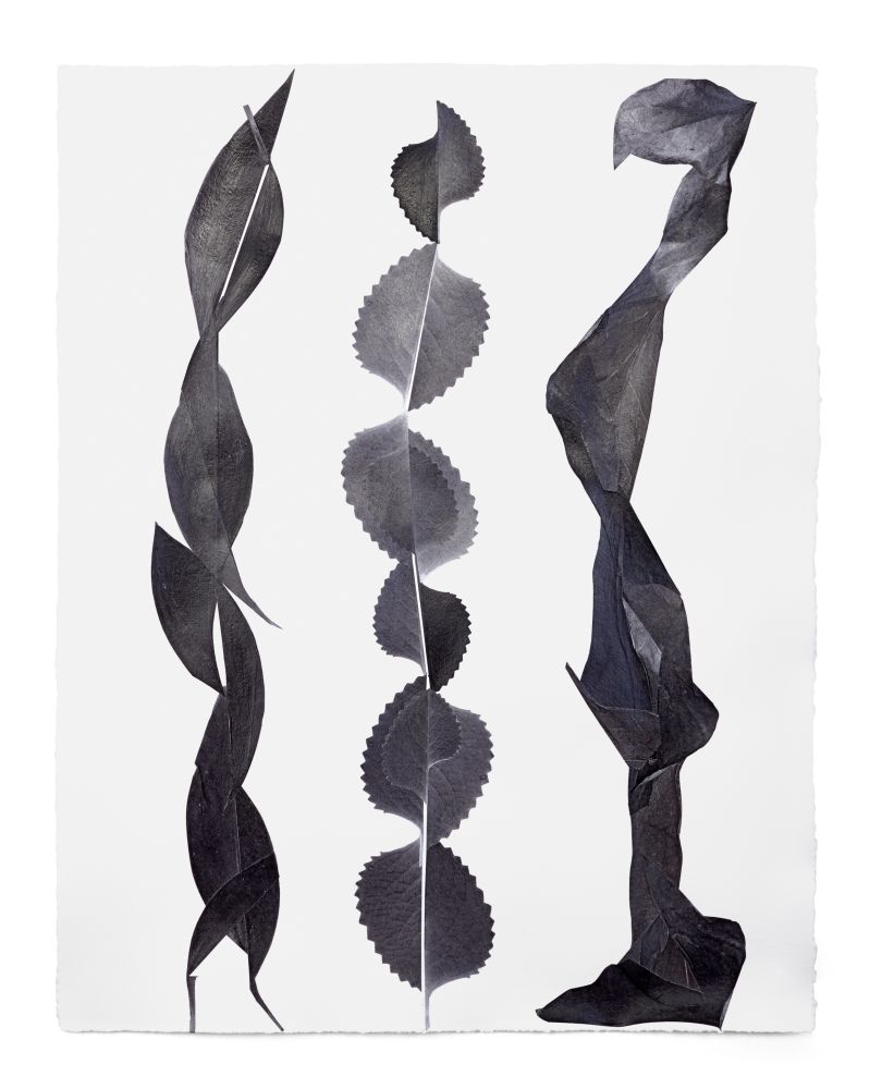 Pagode, 2018 Papiercollage 65 x 50 cm Foto: Ben Hermanni, Lemgo | Courtesy Galerie Lisa Kandlhofer, Wien und Galerie Rupert Pfab, Düsseldorf Pagode, 2018 Papiercollage 65 x 50 cm Foto: Ben Hermanni, Lemgo | Courtesy Galerie Lisa Kandlhofer, Wien und Galerie Rupert Pfab, Düsseldorf