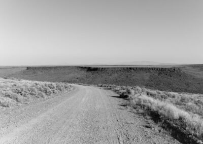 TRUE PICTURES? | 11.09. – 05.12.2021