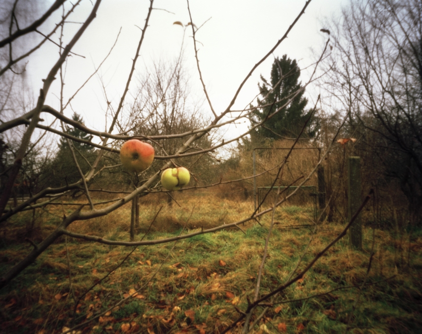 Hanns Zischler, letzte Süße, 1999/2026 © Hanns Zischler