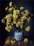 Käthe Buchler, Chrysanthemen, 1913- 1930, Inkjet Print mit pigmentierten Tinten, Abzug 22,5 × 30 cm, Rahmen 30 × 40 cm, Auflage 10, Preis 400 €